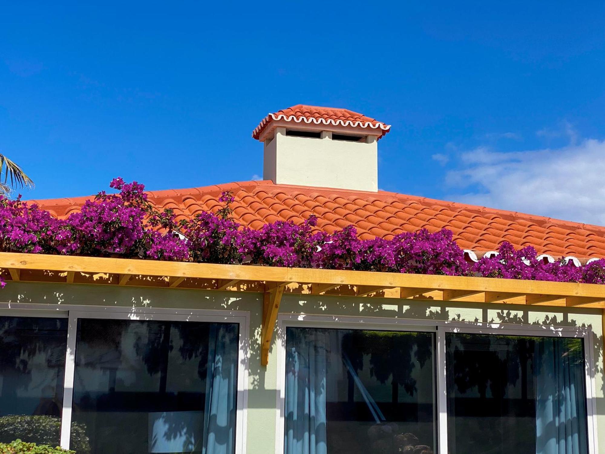 Terra Vivaz - Ribeira Cottage Ribeira Grande Exterior photo